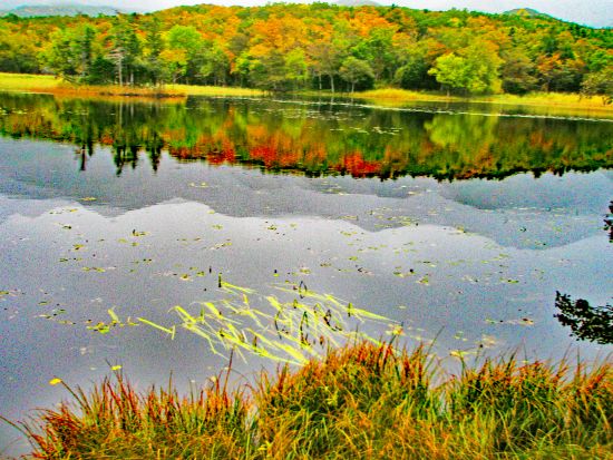 【ベルトラ限定】1日プライベートネイチャーガイドツアー　ベテランガイド1日貸切！世界遺産知床や阿寒・摩周国立公園など1日満喫＜通年/網走市内・女満別空港発着＞