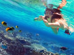 snorkeling_shutterstock_455524831