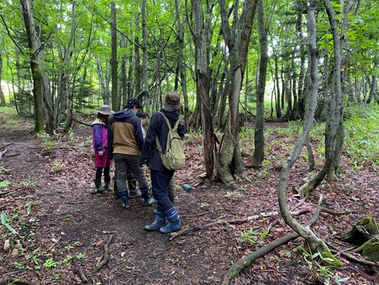 5E343F60-2EE6-4218-84C3-3626EABB91E4