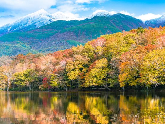 【空席があれば前日20時まで予約可】知床＆清里1日満喫ツアー 知床五湖散策+神の子池+プユニ岬など充実の人気観光地＜4～11月／JR知床斜里駅発／斜里町＞