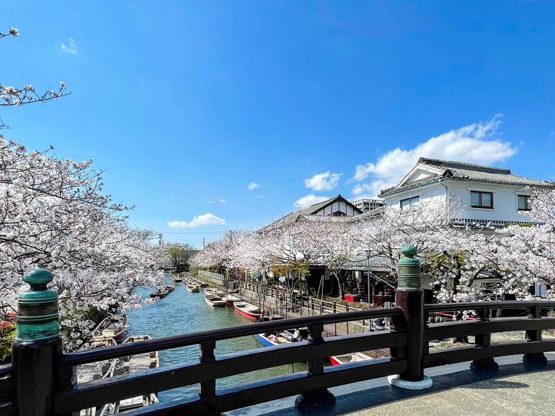 210322sakura003-圧縮