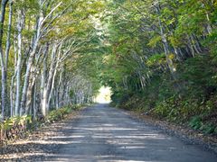 pixta_75311586_M