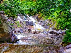 pixta_24174270_M