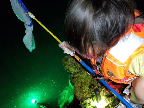 生き物探しナイトツアー　夜の海やビーチで沖縄の生き物たちを探して探検！＜読谷村／当日12時まで予約可＞