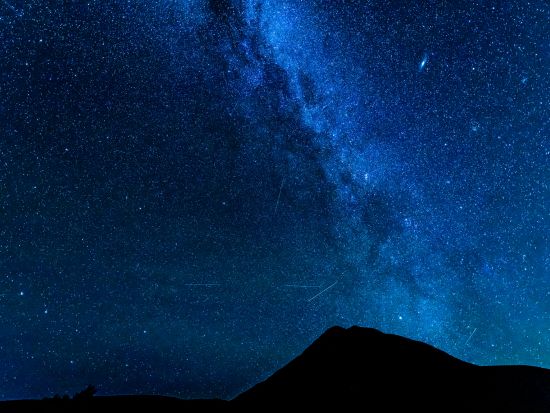  【貸切プラン1日1組限定】ナイトツアー　世界遺産知床の夜を楽しむ。 野生動物ウォッチング＆晴天時には星空観賞も♪＜4月～11月／無料送迎／斜里町＞