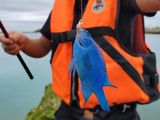 イノー（浅瀬）釣り＆生き物探し体験　サンゴ礁に囲まれた浅い海で磯遊びを楽しもう！魚拓体験プランもあり＜読谷村＞