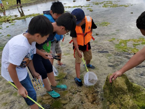 イノー（浅瀬）釣り＆生き物探し体験　サンゴ礁に囲まれた浅い海で磯遊びを楽しもう！魚拓体験プランもあり＜読谷村＞