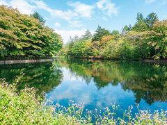 pixta_76417164_M