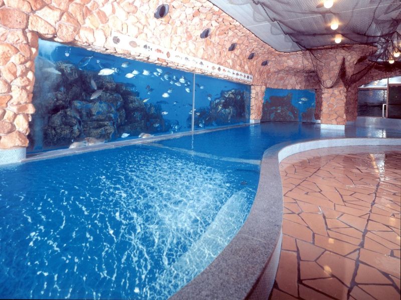 伊東温泉 ホテルサンハトヤ 1泊2日 オーシャンビューの和室 海底温泉 アドベンチャースパ ディナーショー 2 3名1室 夕 朝食付 伊東 熱海 伊東 沼津 三島の観光 遊び 体験 レジャー専門予約サイト Veltra ベルトラ