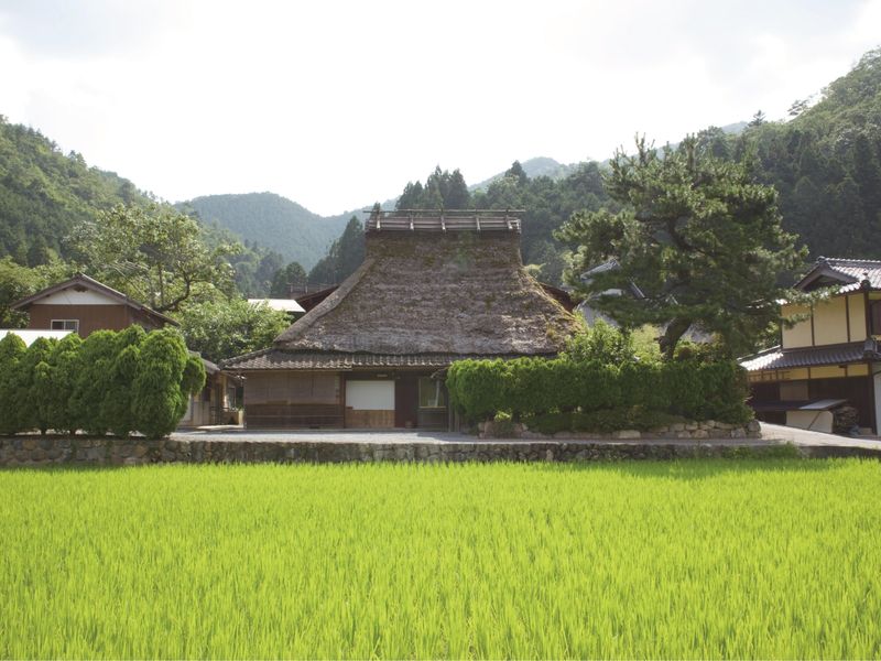 本館(電線なし）