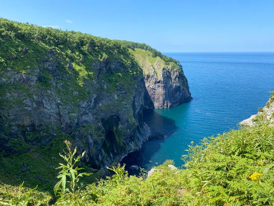 319292D3-16D7-447A-A478-9C14FD6EAB74