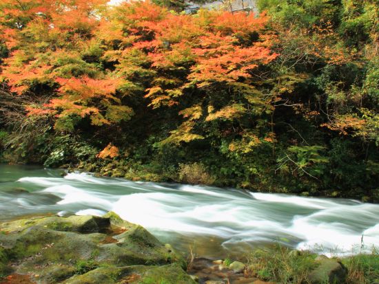 貸切観光タクシー  鶴仙渓＋鶴ヶ滝 加賀・山中温泉近郊の名勝ツアー 4～11月は鶴仙渓川床がオープン＜3時間or4時間／選べる車種／加賀温泉郷発着＞