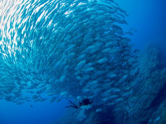 沖永良部島ギンガメトルネード_jpg