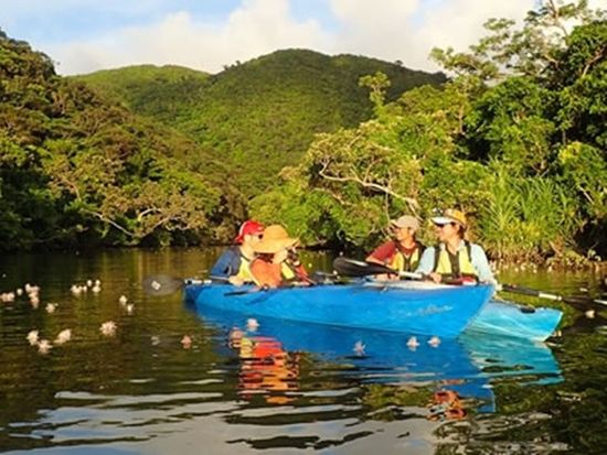 course25_introduction01