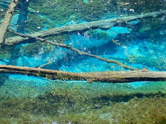 CFCFD2D8-0E26-420D-81CD-1A77CE5BBE7A