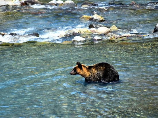 D3FB8355-8C54-41DB-9634-6B95FA53F51D