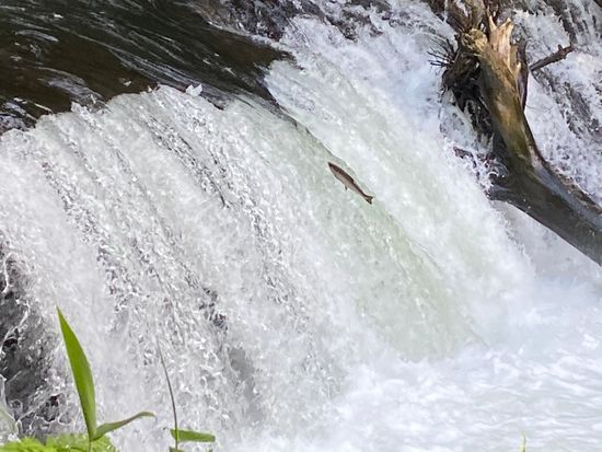 92CCB18C-4F85-46CC-8668-3C0B4A17D061