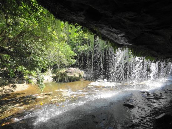 マングローブカヌー＋サンガラの滝トレッキング　人が少ない穴場スポットで滝遊びを満喫　バラス島でシュノーケリング付きプランあり＜上原地区無料送迎／西表島＞