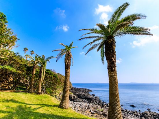 福江島 半日観光ツアー　五島めぐり定期観光バスで教会・歴史・自然を見学｜2コースから選択可能＜午前または午後／福江港発／五島市＞ by 五島バス