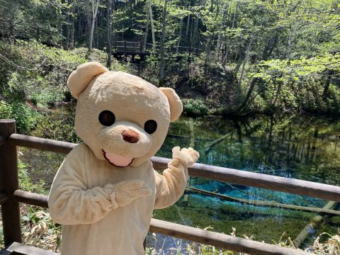 神の子池ネイチャーツアー　 地元ガイドと一緒に神秘的な神の子池＆春～秋は裏摩周展望台＆斜里川さくらの滝を見学。＜JR知床斜里駅より送迎あり／通年／清里町＞