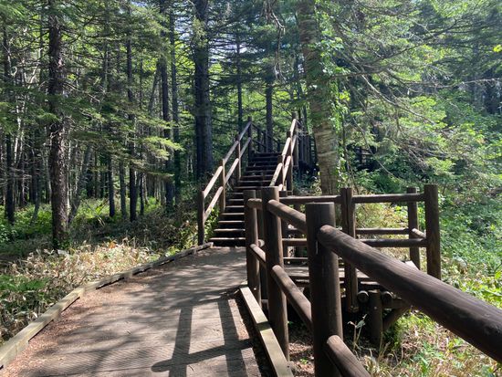 BD0CA7E6-5570-4C02-AE67-AACF608923EF