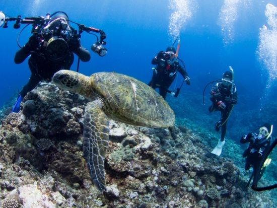 ファンダイビング ガイドが海のコンディションを考慮してポイントを選定！2ボート or 3ボートダイビングから選択　by GTダイバーズ沖永良部島