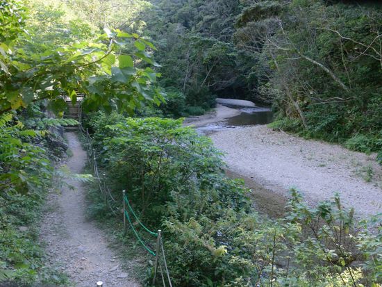 fea7c953-168a-4c7f-97e3-1e2430162104