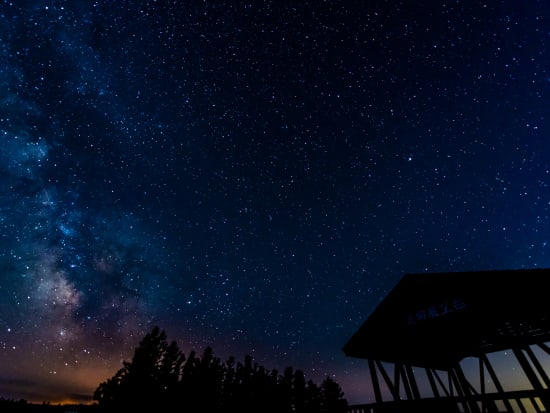 富良野ナイトウォッチング 動物星空観賞ツアー しんとした静かな木々、富良野の夜景、動物たちの息づかいを探しに出かけよう＜約2時間／富良野市＞