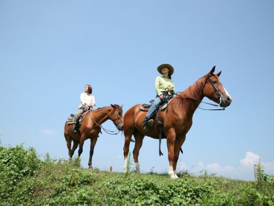 乗馬体験 エル・パティオ牧場の雄大な草原 約20～30分のホーストレッキング　360度パノラマステージで自然との一体感も堪能！＜阿蘇市＞