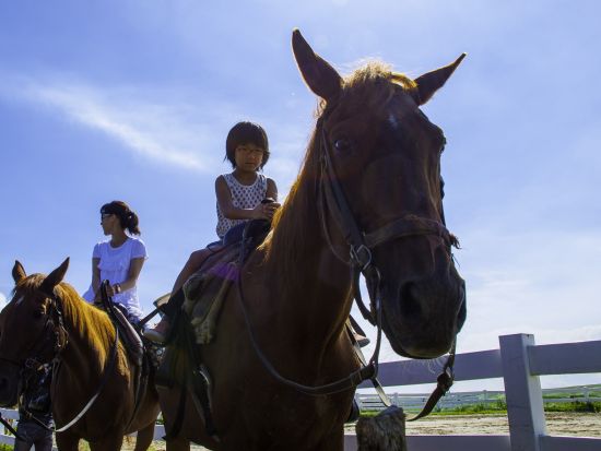 乗馬体験 エル・パティオ牧場の雄大な草原 約20～30分のホーストレッキング　360度パノラマステージで自然との一体感も堪能！＜阿蘇市＞