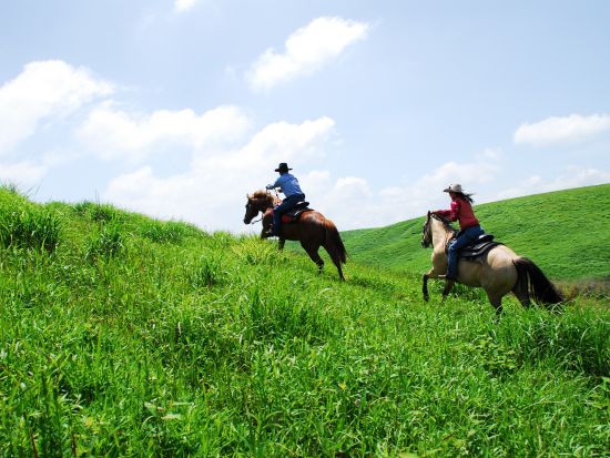 乗馬体験 エル・パティオ牧場の雄大な草原 約20～30分のホーストレッキング　360度パノラマステージで自然との一体感も堪能！＜阿蘇市＞
