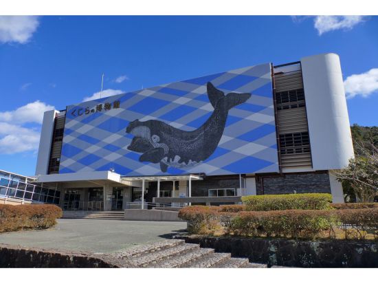 紀の松島めぐり遊覧船クルーズ 奇礁奇岩の景色を堪能するコース＜勝浦 観光桟橋発着＞