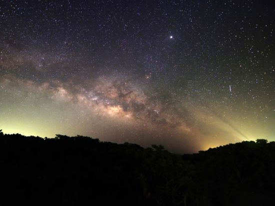 マングローブナイトカヌーツアー　カヌーに乗って満天の星空と水面に浮かぶ夜光虫を鑑賞＜上原地区ホテル無料送迎／西表島＞