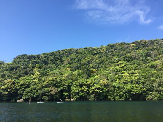 【貸切＆送迎付き】SUPツアー 透き通ったエメラルドグリーンの安房川でスタンドアップパドルボート ＜約3時間／3～10月＞ by 屋久島ガイドツアー