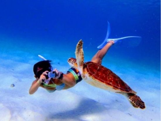 ウミガメシュノーケリング　遭遇率99％！秘密のポイントでウミガメと泳ぐ！＜2.5時間＞ by feel it