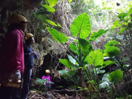 ガイドマップには載っていない場所へご案内！神秘の天然プール・洞窟・海など、7つを同時に味わえる「7つの冒険」コース＜5時間＞ by feel it