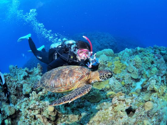慶良間ファンダイビング　体力負担の少ないダイビングスタイルで初心者やお一人様向け　3ダイブのオプションあり＜半日／2ダイブ／那覇市内送迎無料＞