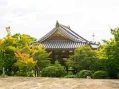 DSC8015-scaled-e1602145578345