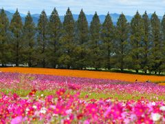 pixta_74620753_M