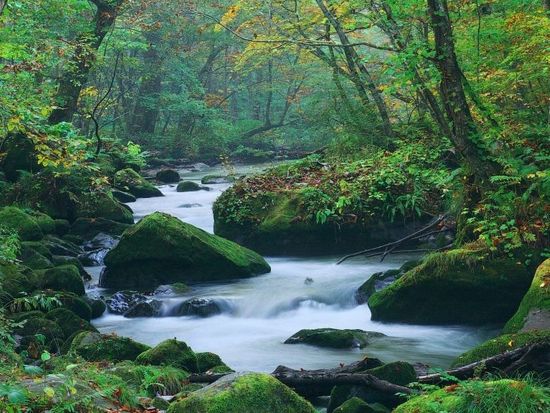 4a2ca11ca4dda540eb8edd65f501be91