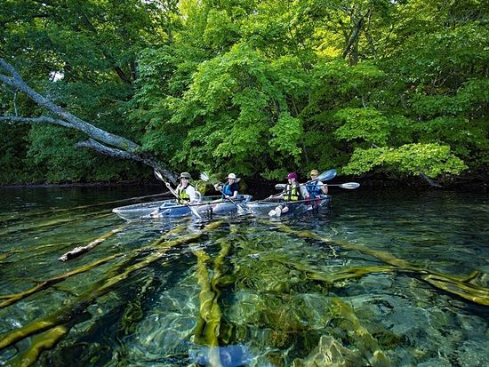 951b873476564d80a5f94b883393cfc4