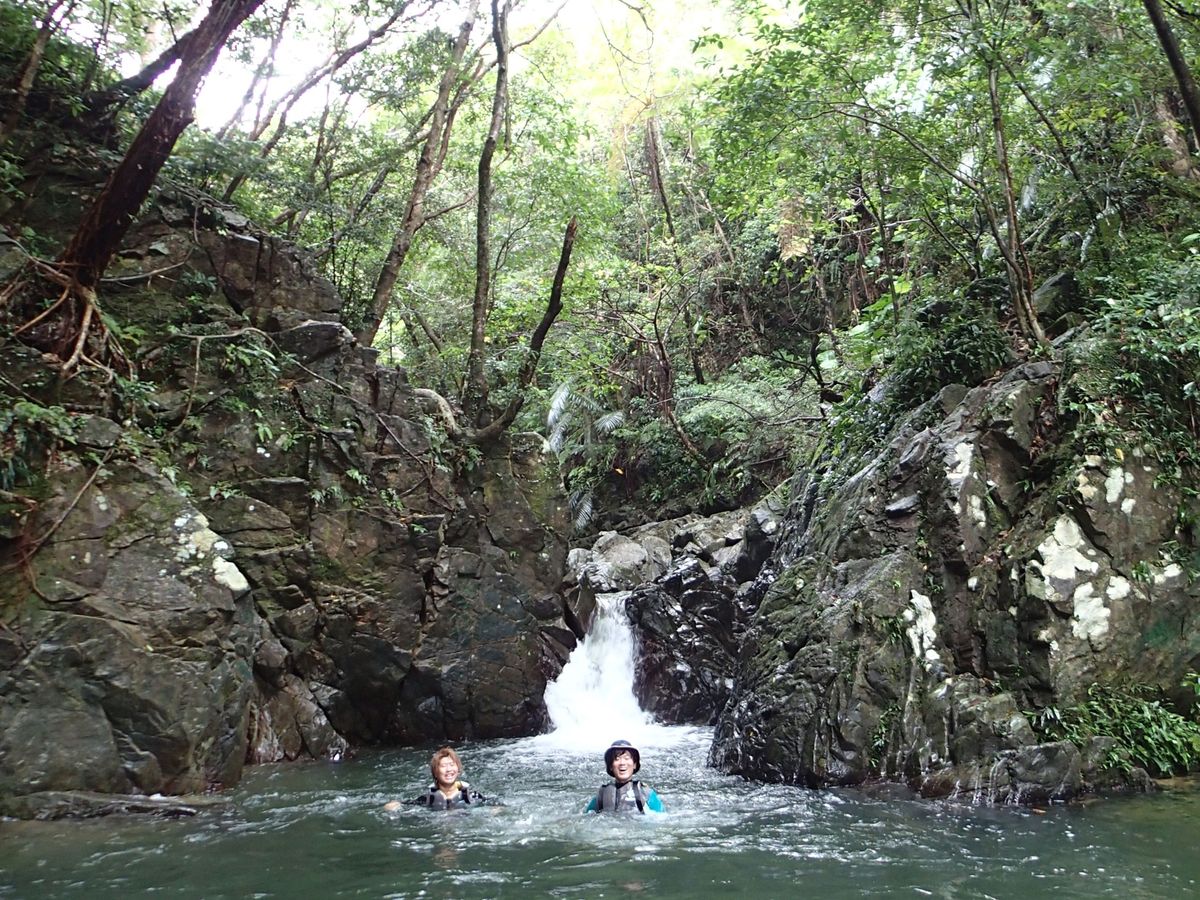 ター滝リバートレッキングツアー やんばるの大自然の中、川歩きを楽し