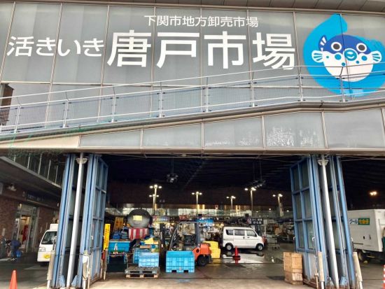 福岡発着日帰りバスツアー　赤間神宮＋角島大橋＋元乃隅神社 唐戸市場では60分フリータイムあり