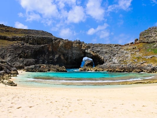 伊豆諸島・小笠原諸島の現地オプショナルツアー予約＆観光旅行【VELTRA 