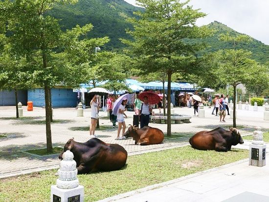 20210326080954_1612544567_15067