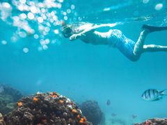 Snorkeling_Swimming_Under_Water_shutterstock_568329076
