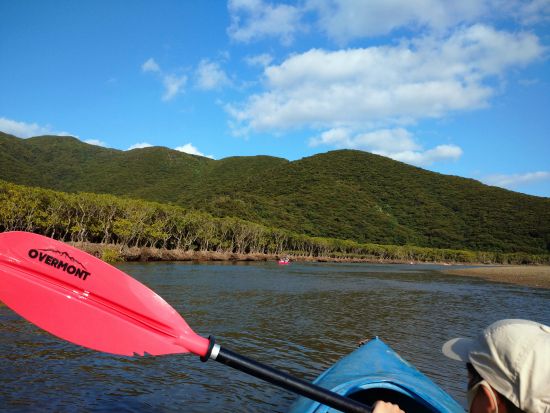 マングローブカヌー 自由自在に楽しむフリープラン 干潮時は生き物観察も！0歳～ご参加可能 お好きな時間に利用 ＜1.5時間程度／住用町＞by マングローブ茶屋