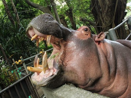 190f5261-2178-40af-8593-8c6744830e63