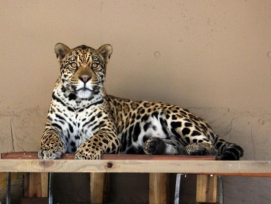 228ef745-942a-418b-8237-cc2c64f73839