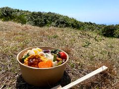 弁当1